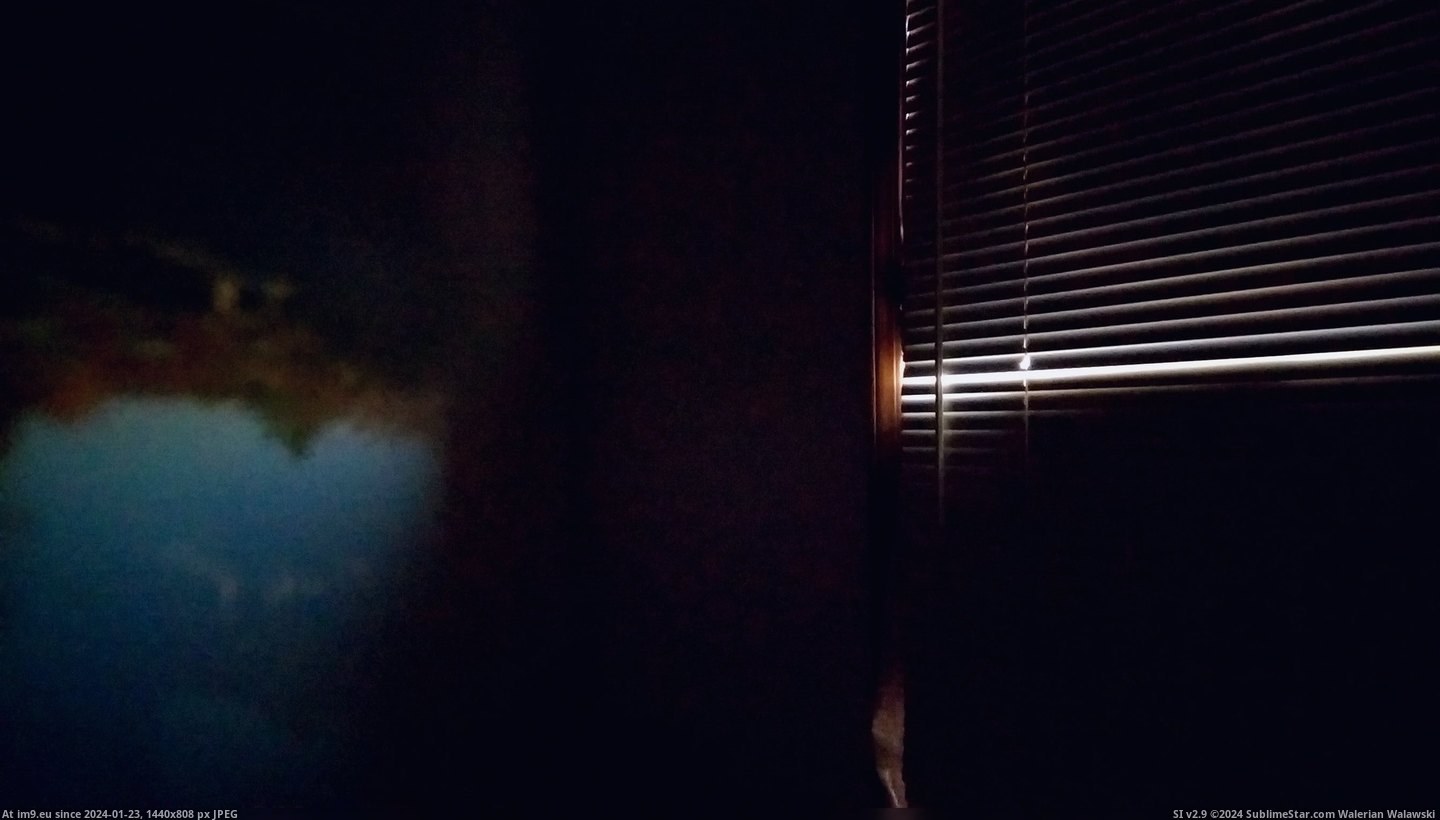 #Image #Small #Tree #Created #Beam #Pinhole #Window #Light #Sky [Mildlyinteresting] The small beam of light through my window created a 'pinhole image' of the tree and sky outside. Pic. (Image of album My r/MILDLYINTERESTING favs))