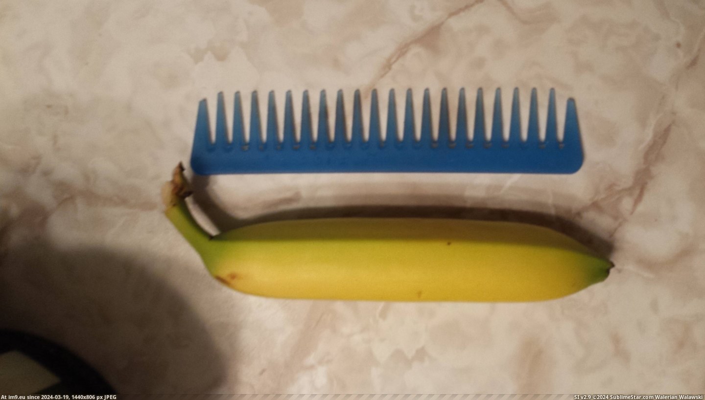 #Banana  #Straightest [Mildlyinteresting] The straightest banana I've ever seen 2 Pic. (Image of album My r/MILDLYINTERESTING favs))