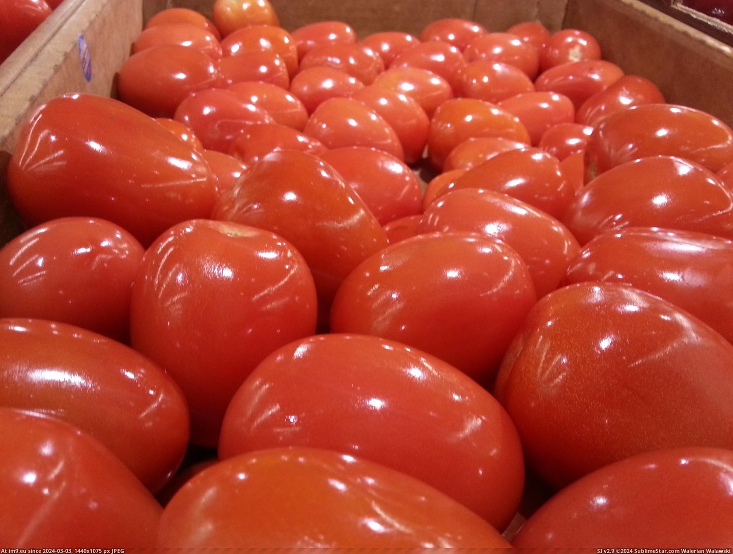#Are #Tomatoes #Shiny [Mildlyinteresting] The tomatoes are especially shiny today. Pic. (Obraz z album My r/MILDLYINTERESTING favs))