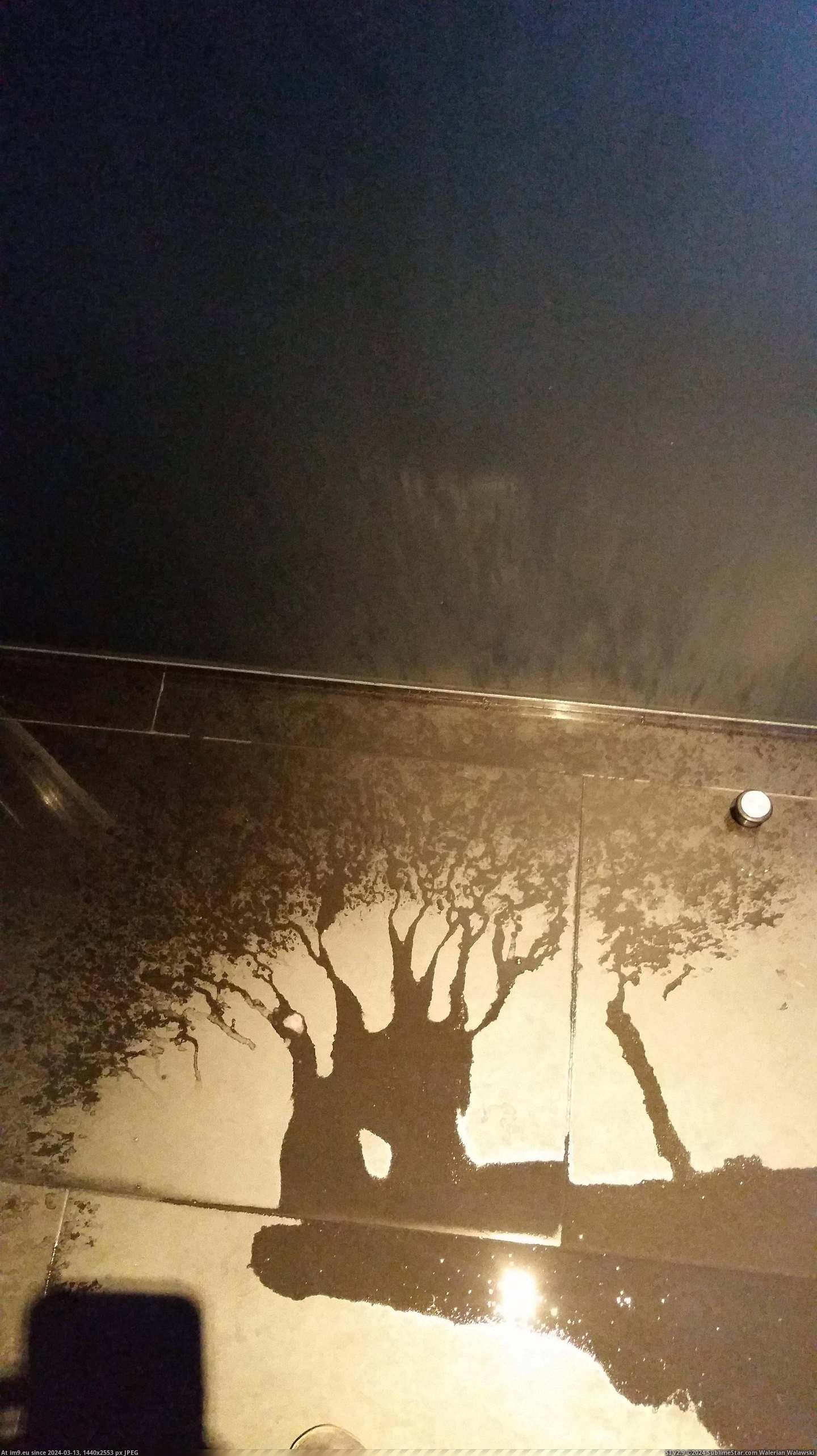 #Way #Tree #Spilled #Water [Mildlyinteresting] The way this water spilled looks like a tree Pic. (Изображение из альбом My r/MILDLYINTERESTING favs))