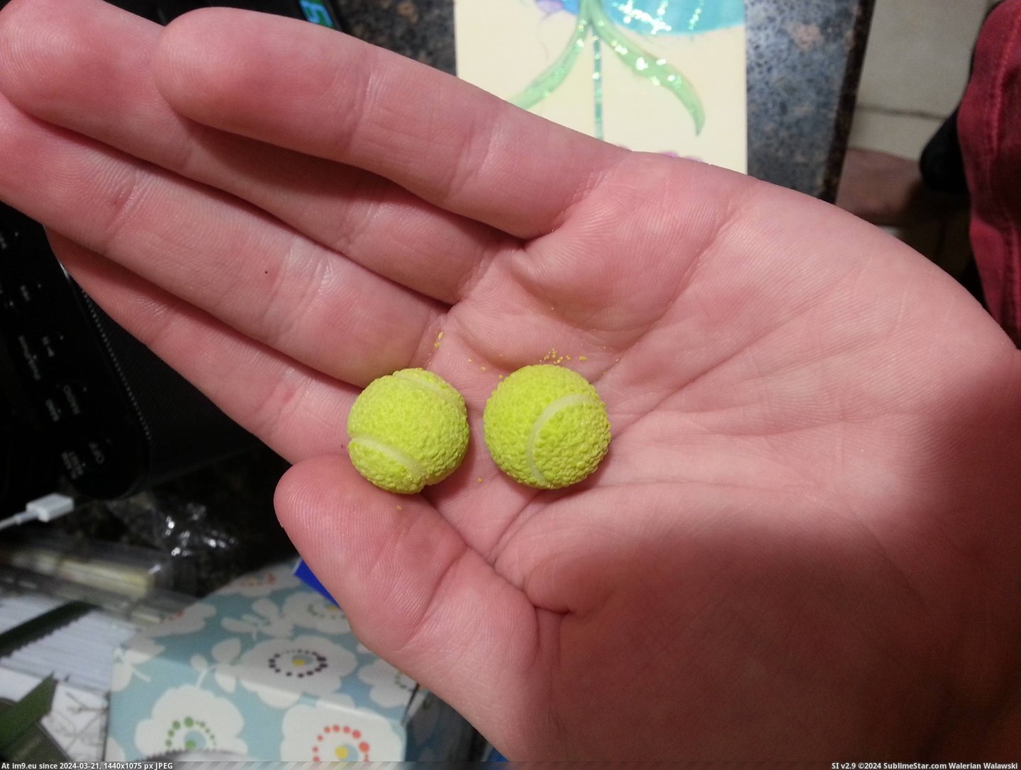 #Balls #Tennis #Gumballs #Shaped [Mildlyinteresting] These gumballs are shaped like tennis balls. Pic. (Image of album My r/MILDLYINTERESTING favs))