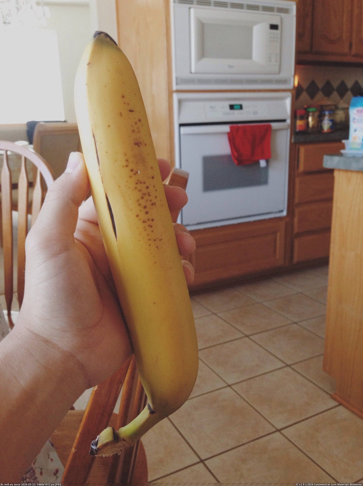 #Was #Straight #Banana #Completely [Mildlyinteresting] This banana was completely straight. Pic. (Image of album My r/MILDLYINTERESTING favs))