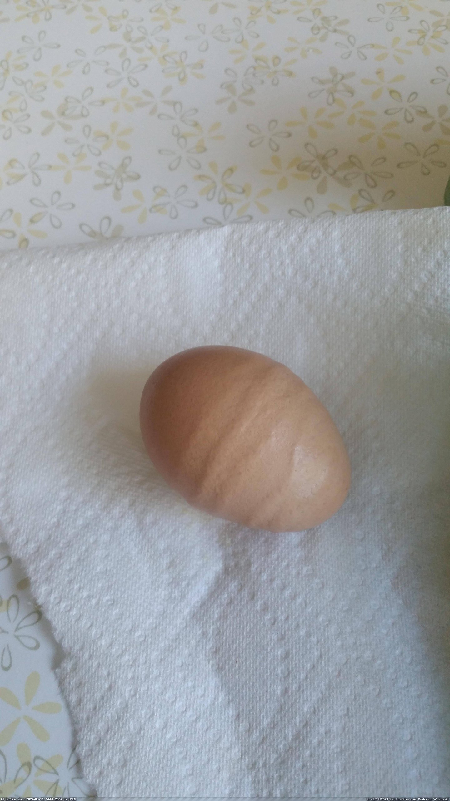 #Egg  #Ripples [Mildlyinteresting] This egg has ripples Pic. (Image of album My r/MILDLYINTERESTING favs))