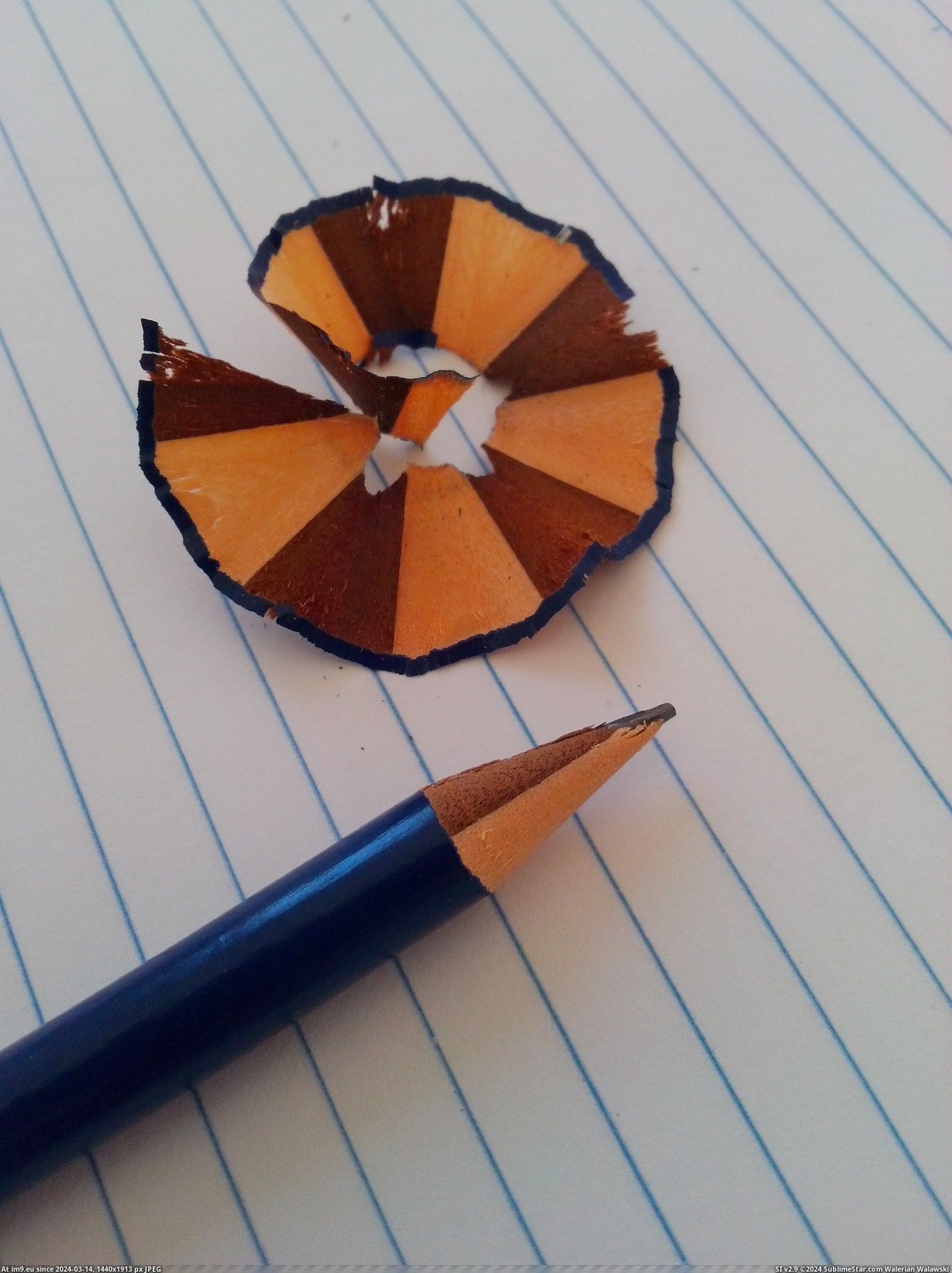 #Brown  #Pencil [Mildlyinteresting] This pencil is half brown. Pic. (Obraz z album My r/MILDLYINTERESTING favs))