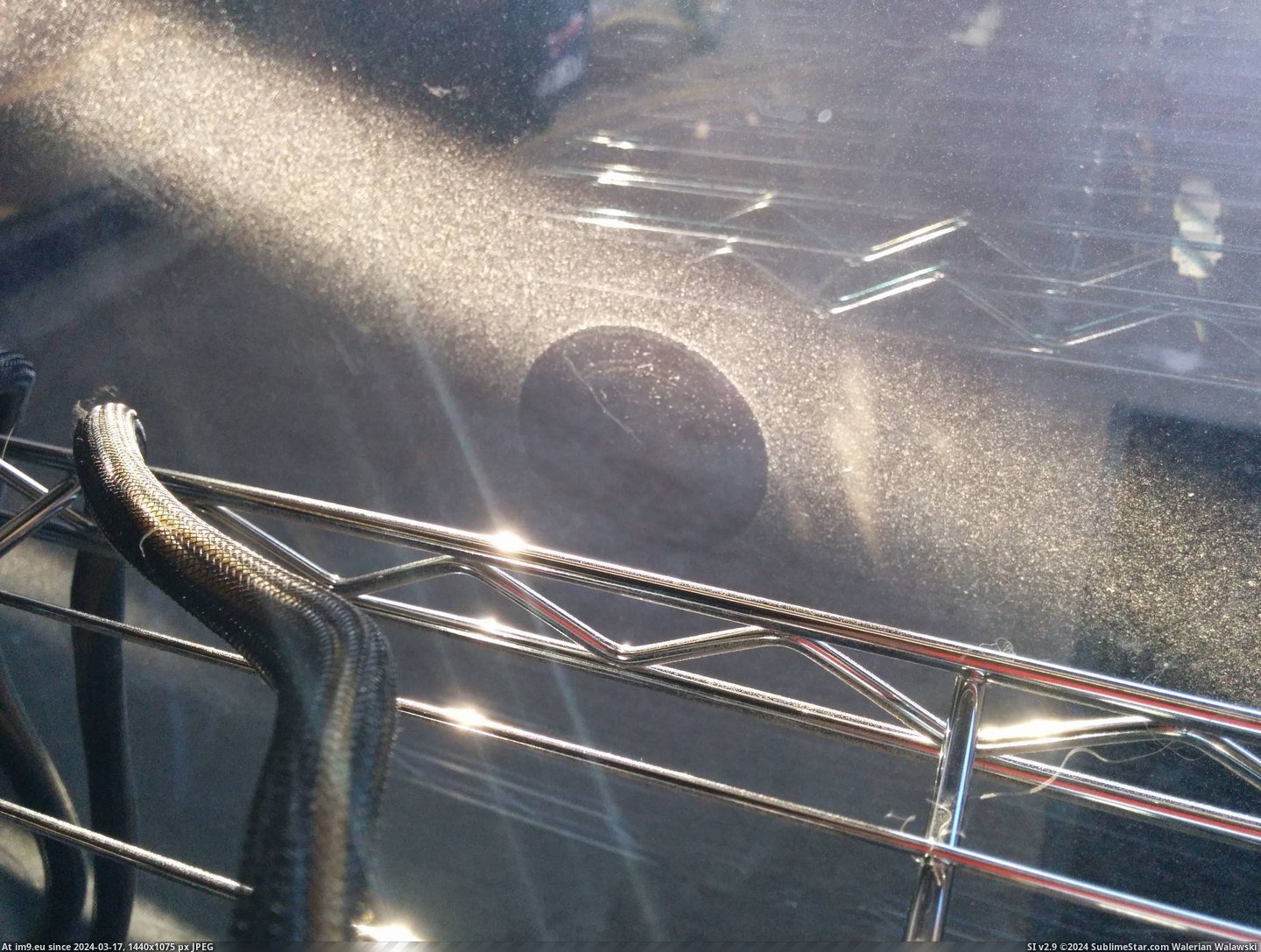 #Dog #Hair #Window #Blown #Dust #Vent #Sweeping #Piece #Stuck #Circle [Mildlyinteresting] This piece of dog hair stuck on my window has been getting blown by a vent and sweeping the dust in a circle Pic. (Image of album My r/MILDLYINTERESTING favs))