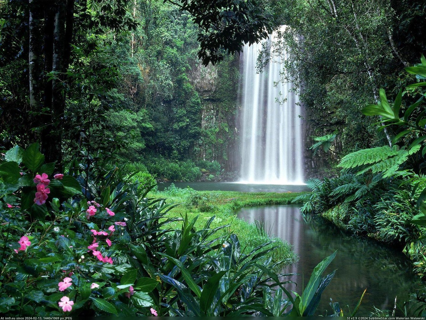 Millaa Millaa Falls, Atherton Tableland, North Queensland, Australia (in Beautiful photos and wallpapers)