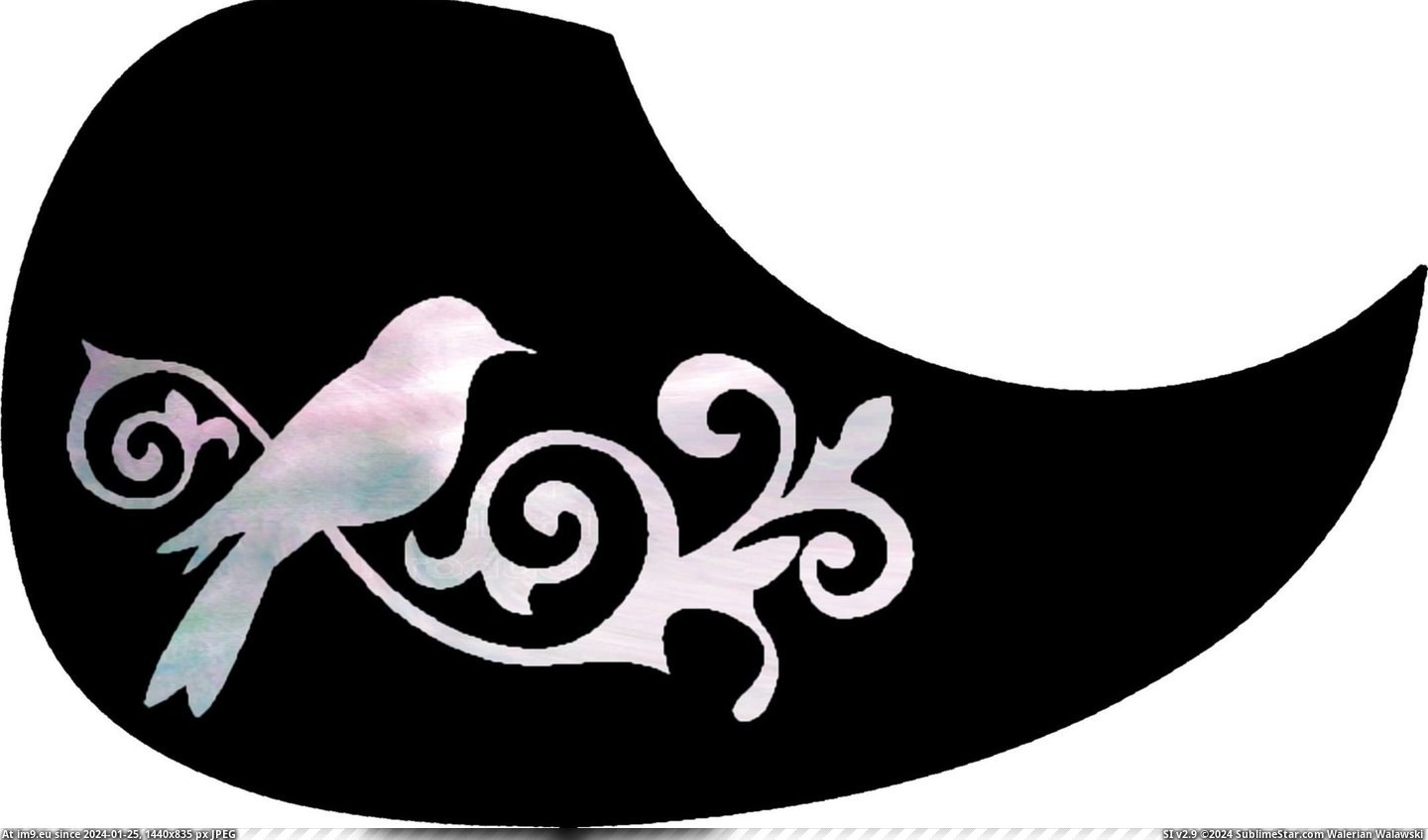 #Pick #Bird #Song #Guard #Pearl Pick Guard - Pearl Song Bird Pic. (Image of album Custom Pickguard Art))