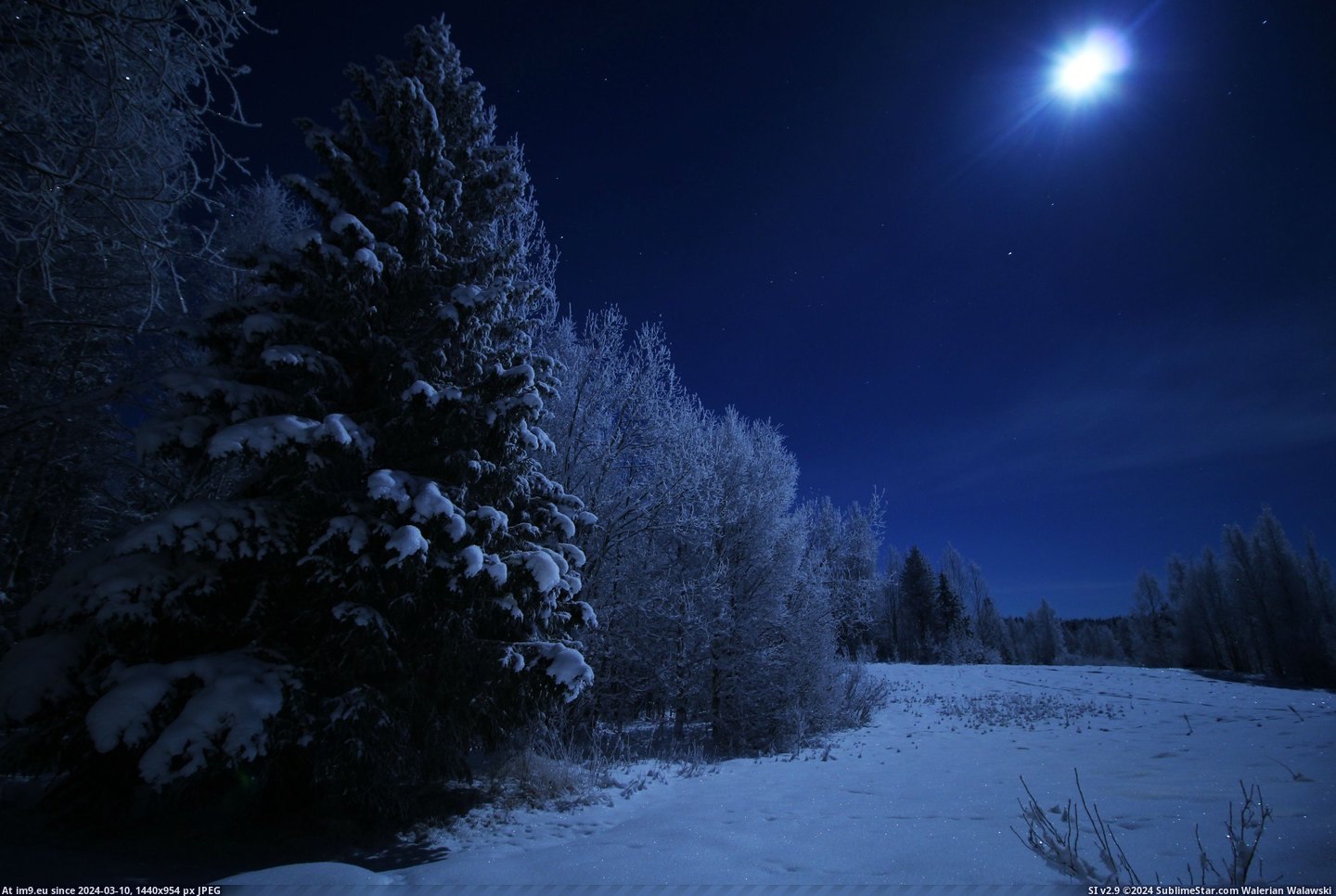 #Northern #Backyard #Degrees #Sweden #Midnight [Pics] -24 degrees celcius, around midnight, northern sweden. View from my backyard. Pic. (Obraz z album My r/PICS favs))