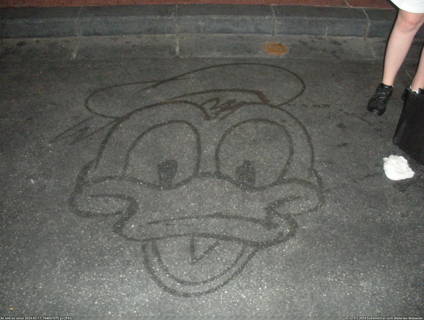 #World #Water #Disney #Guests #Janitor #Broom #Entertain #Characters #Drew #Sidewalk [Pics] As a janitor at Disney World, I drew characters with water and a broom on the sidewalk to entertain guests. 4 Pic. (Image of album My r/PICS favs))