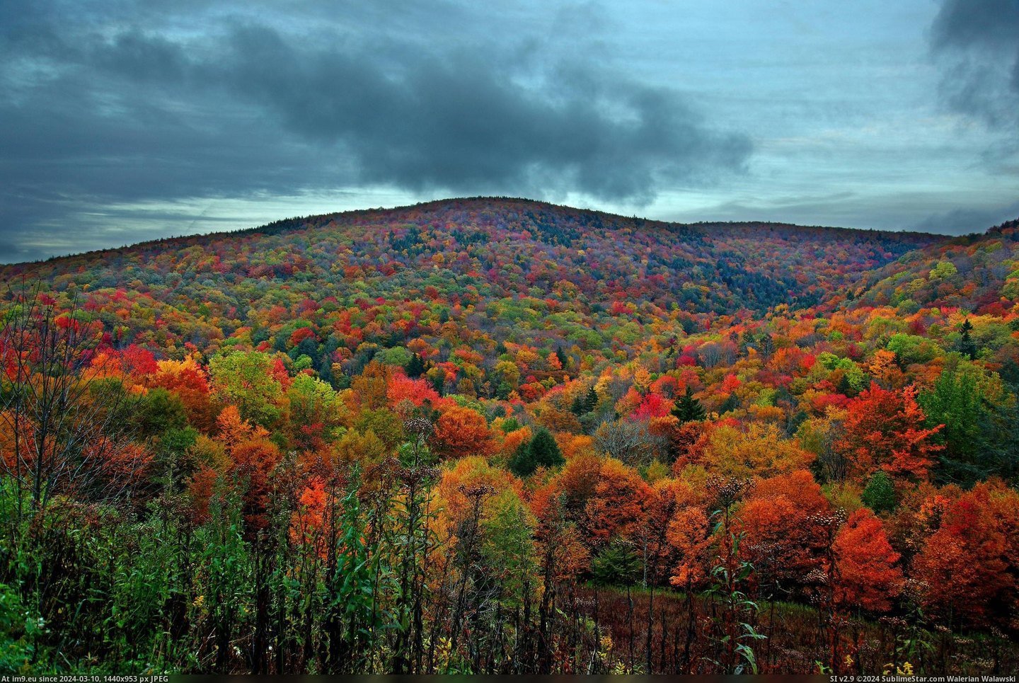 #Fall  #Virginia [Pics] Fall in Virginia Pic. (Obraz z album My r/PICS favs))