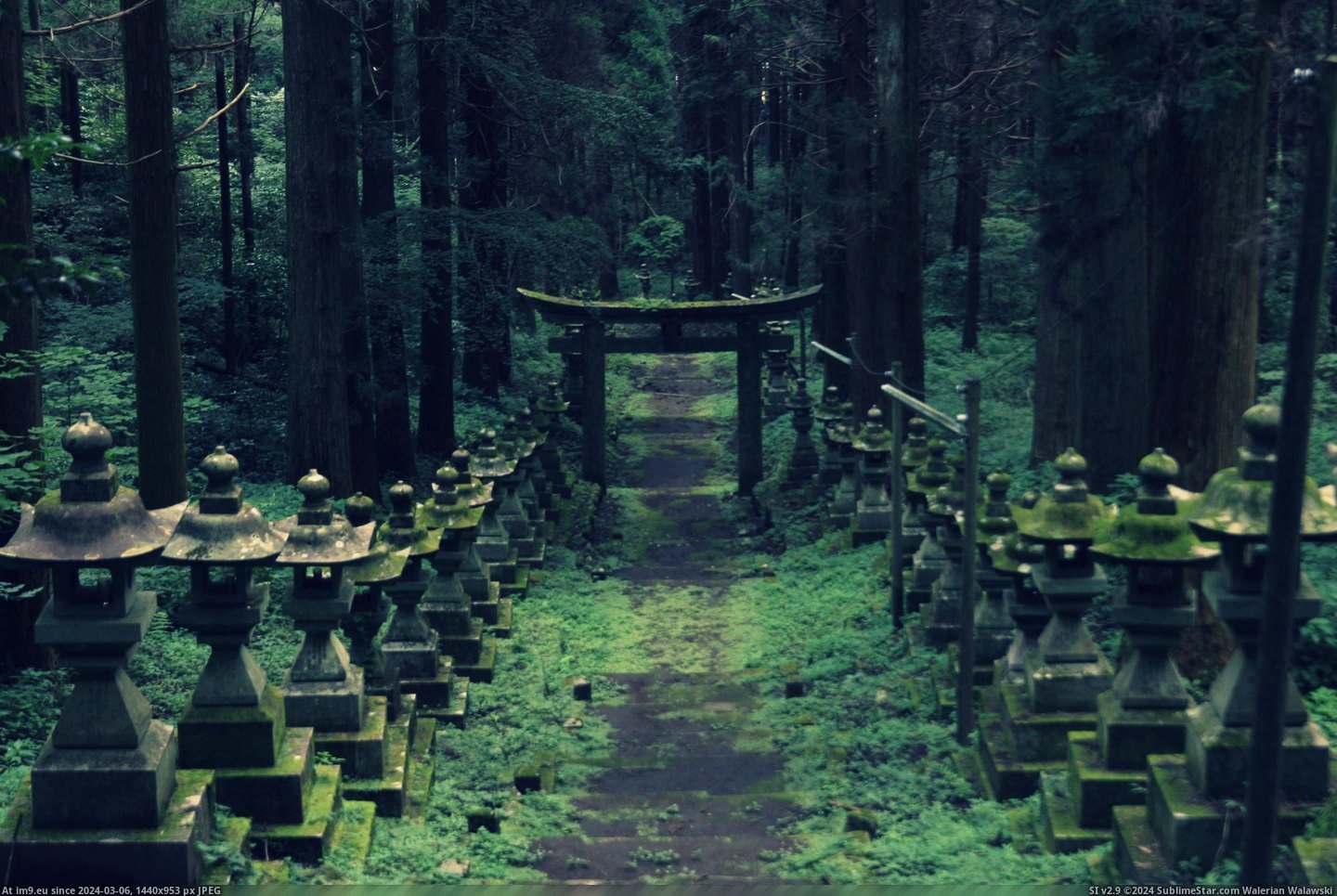 #Forest  #Shrine [Pics] Forest Shrine. Pic. (Image of album My r/PICS favs))