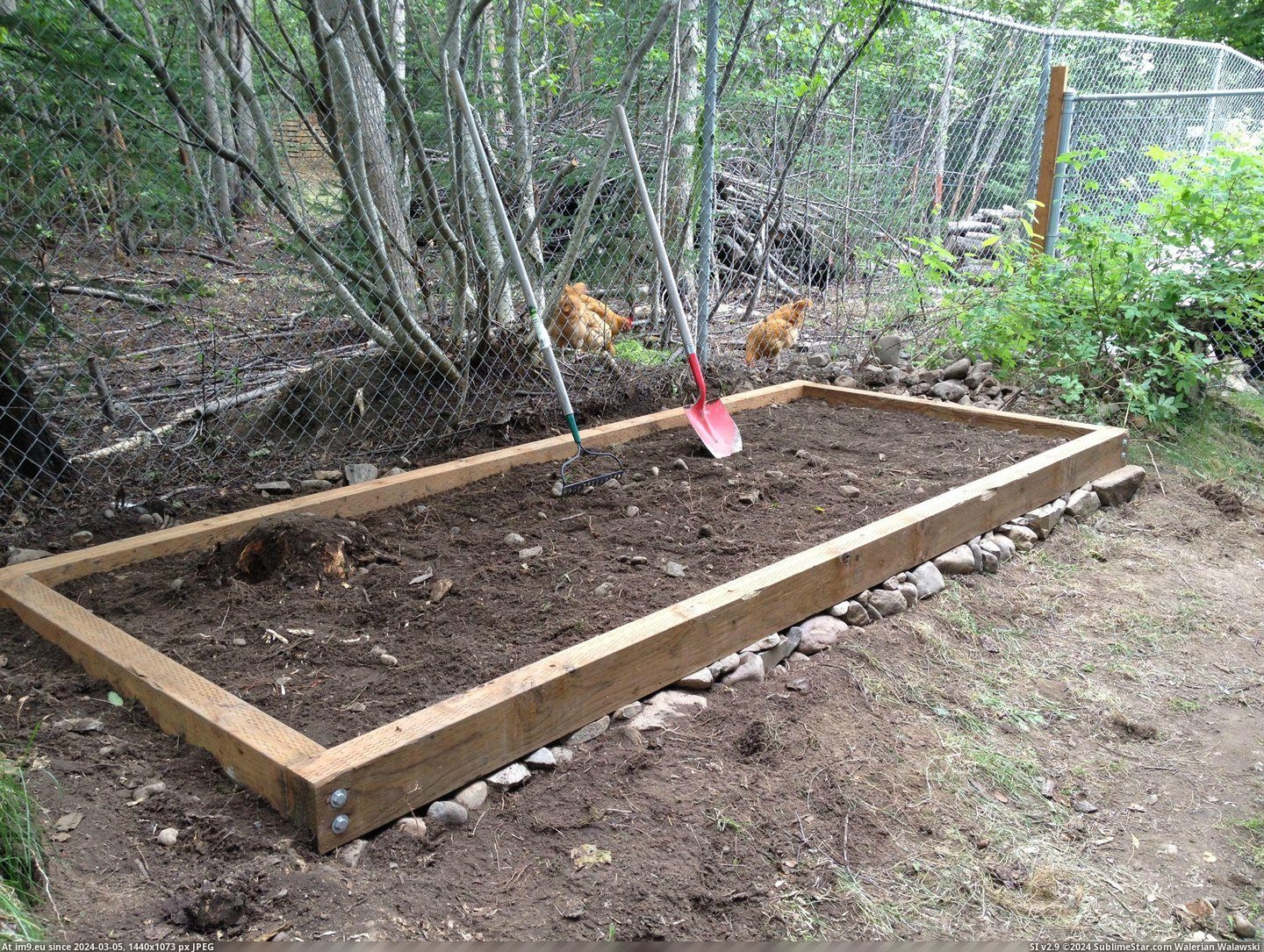 #Share #Thought #Chicken #Coop #Built #Alaska [Pics] I built a chicken coop at my home in Alaska and I thought I'd share 18 Pic. (Image of album My r/PICS favs))