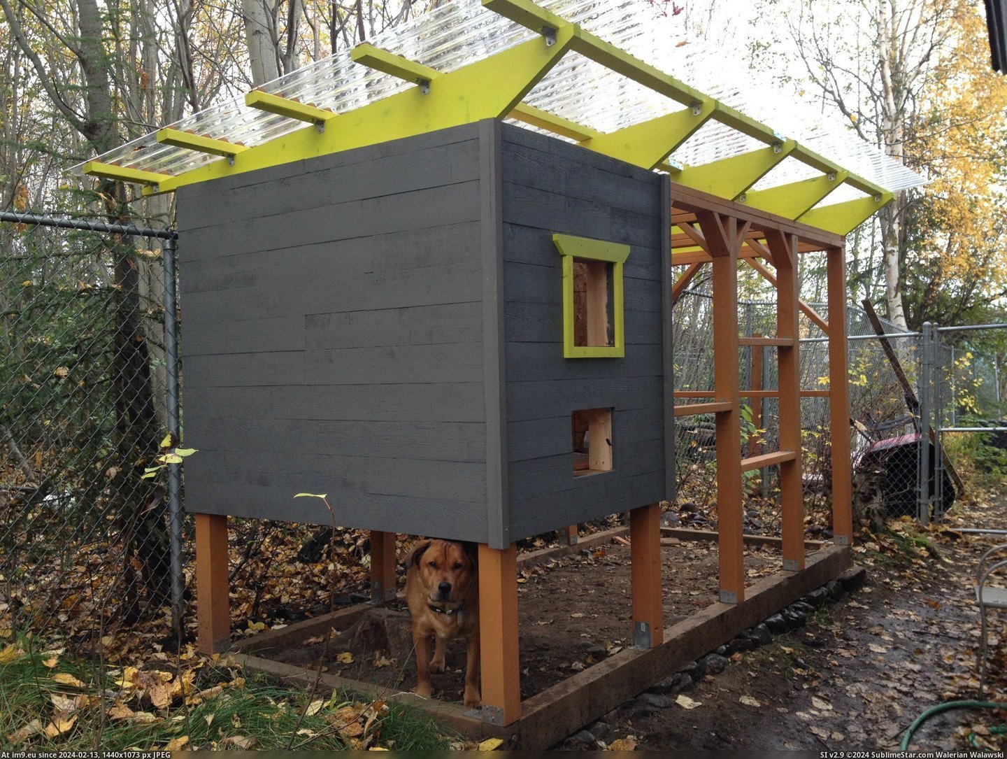 #Share #Thought #Chicken #Coop #Built #Alaska [Pics] I built a chicken coop at my home in Alaska and I thought I'd share 3 Pic. (Bild von album My r/PICS favs))