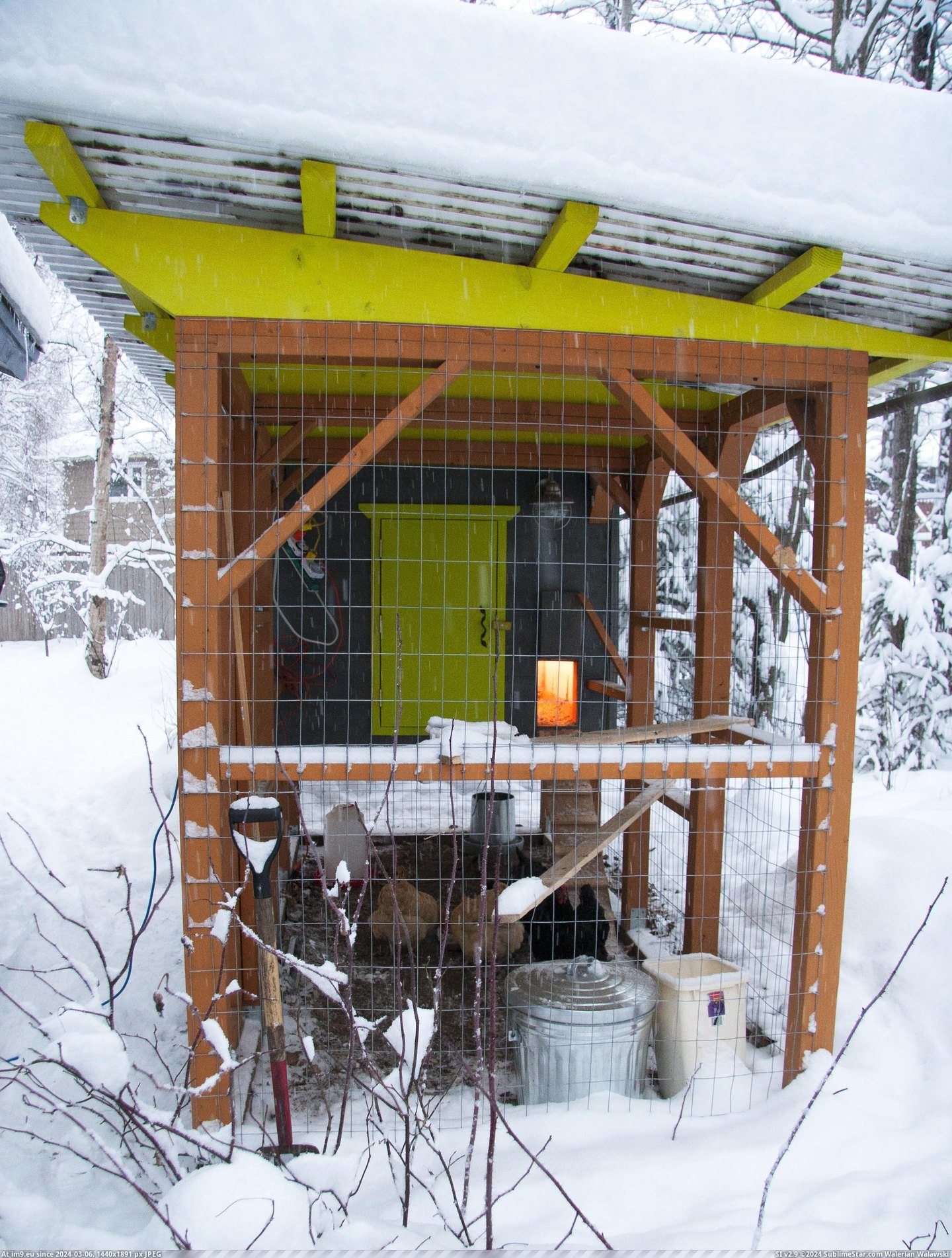 #Share #Thought #Chicken #Coop #Built #Alaska [Pics] I built a chicken coop at my home in Alaska and I thought I'd share 46 Pic. (Bild von album My r/PICS favs))