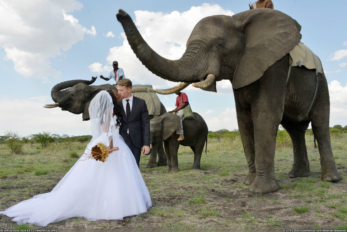 #Wife #She #Wedding #African #Zimbabwean #Had #Our [Pics] My wife and I just had our African Wedding (She's Zimbabwean) 2 Pic. (Bild von album My r/PICS favs))