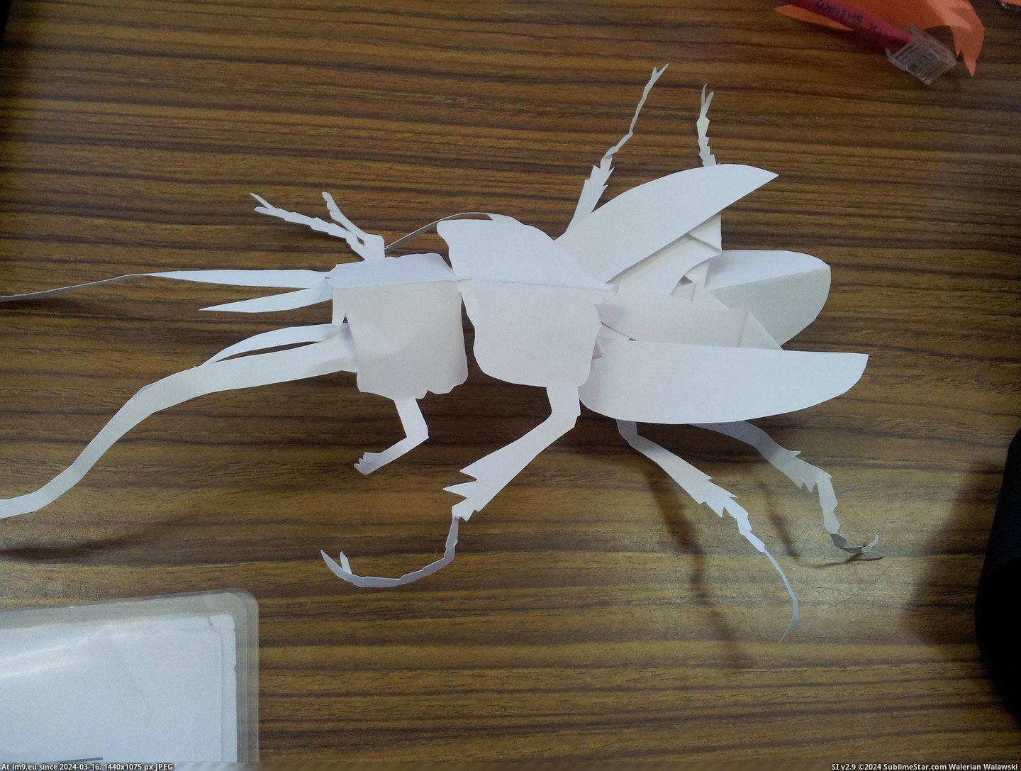 #One #Paper #Students #Creatures #Freehand #Bored #Completely [Pics] One of my students makes these creatures out of paper completely freehand whenever he is bored 1 Pic. (Obraz z album My r/PICS favs))
