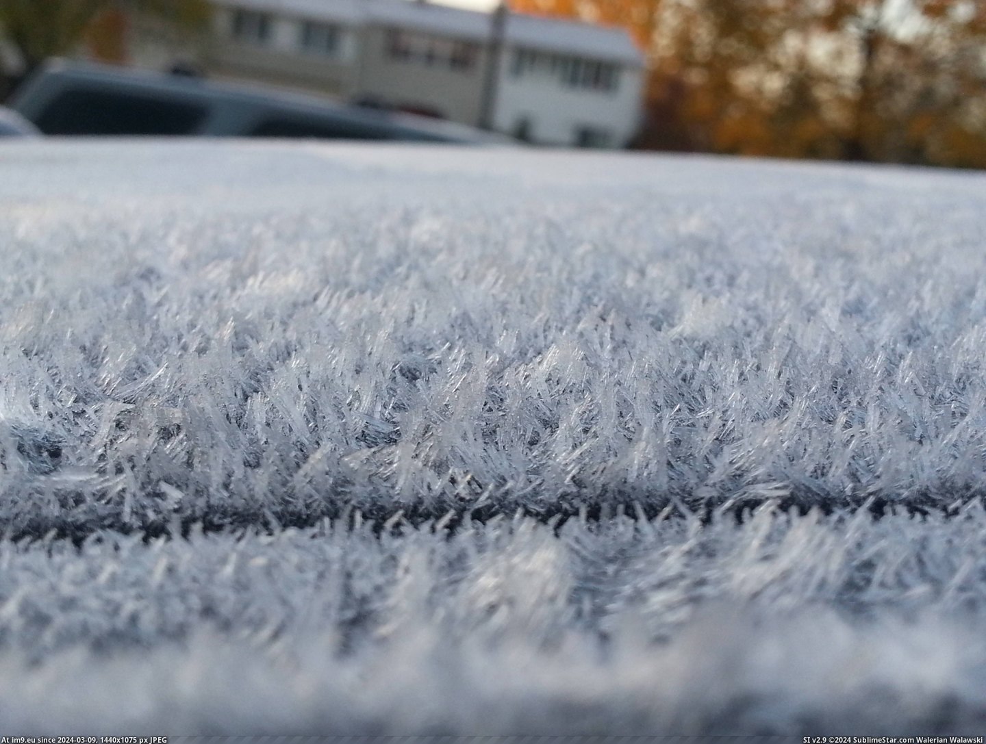 #Morning #Frost #Car [Pics] The frost on my car this morning Pic. (Obraz z album My r/PICS favs))