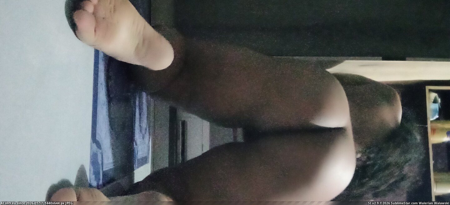 in Instant Upload pig Imnaa Pic. (Image of album Instant Upload))