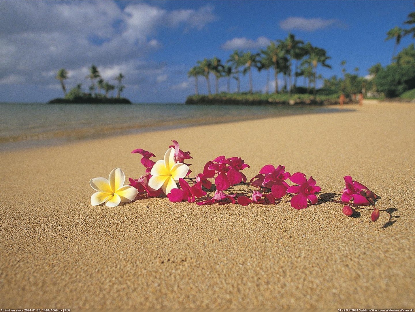 Polynesian Paradise, Oahu, Hawaii (in Beautiful photos and wallpapers)