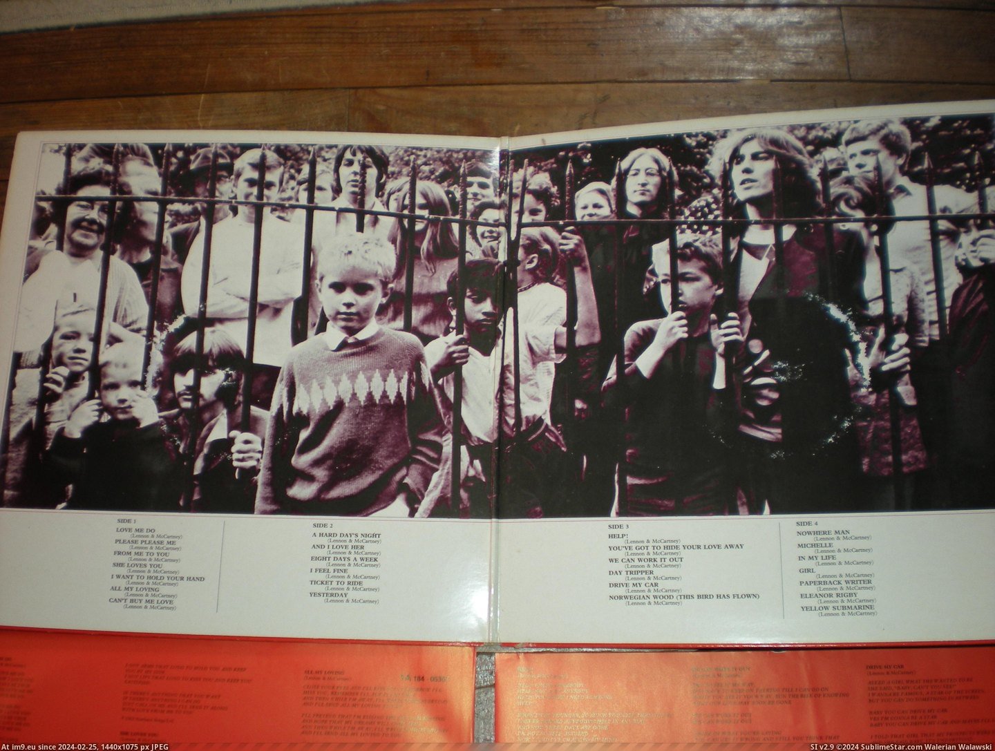 #Red  #Dutch Red DUTCH 5 Pic. (Image of album new 1))