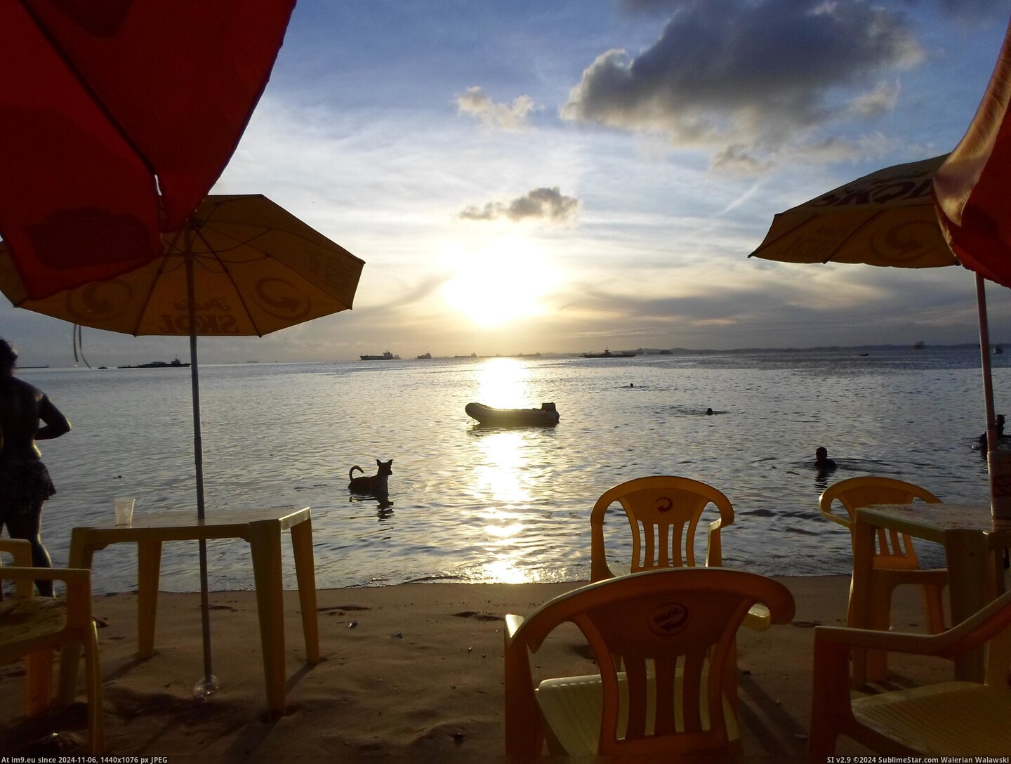  #Sam  SAM_0123 Pic. (Image de album nemesis_evil_corp))