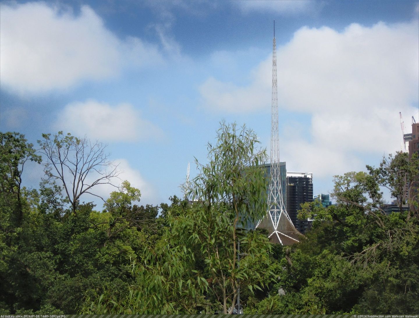 spire out of the bush (in Jolimont)