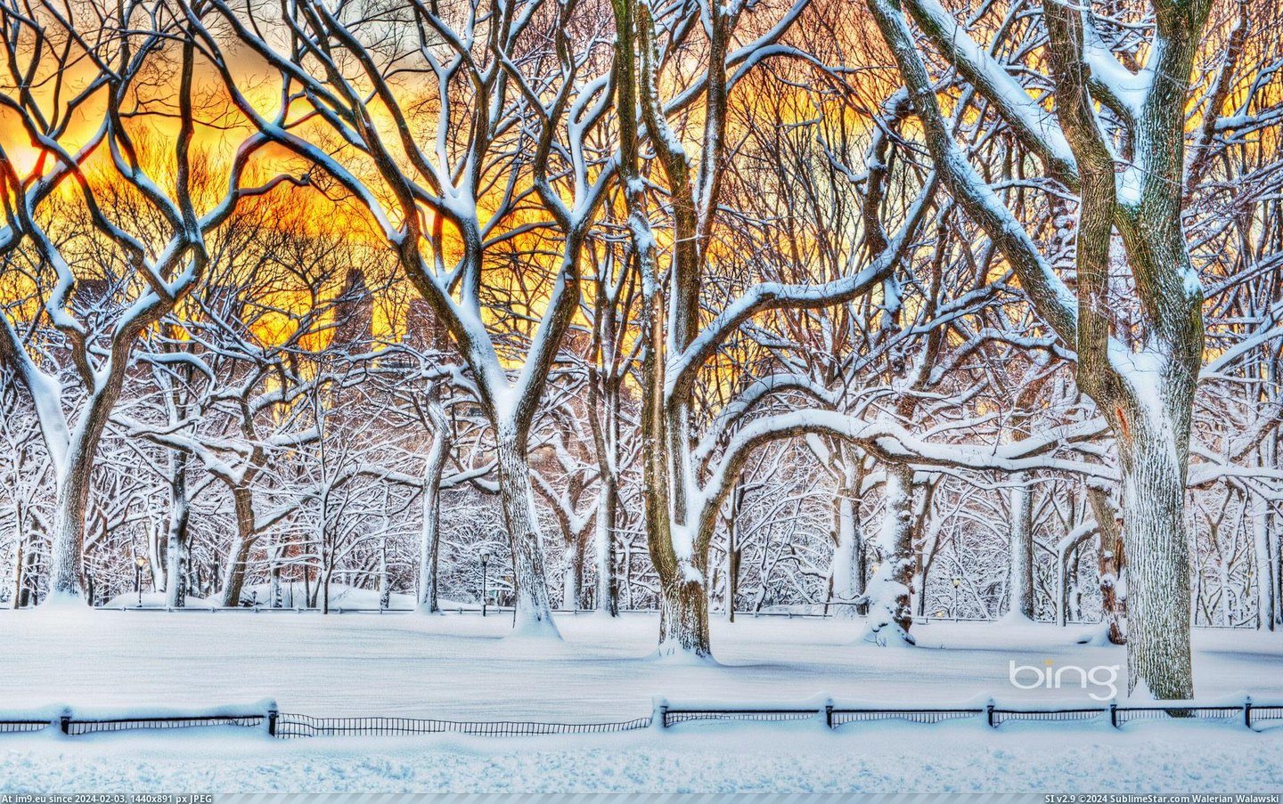 Sunrise in Central Park after a snowstorm in New York City, New York (©Getty Images) (in December 2012 HD Wallpapers)
