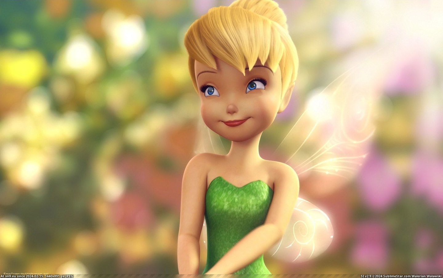 Tinker Bell Wallpaper192  (cartoons for kids) (in Cartoon Wallpapers And Pics)