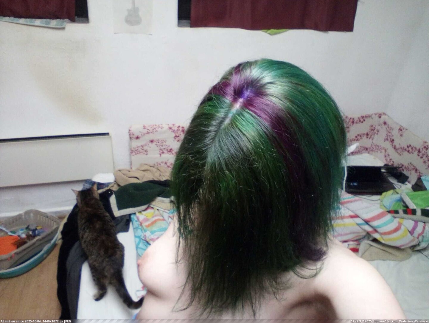 #Tits #Nude #Slut #Naked #Tattoos #Bulgarian #Chochanova #Selfie #Webslut #Bikini #Valentina vv72 Pic. (Image of album Webslut Valentina nudes))