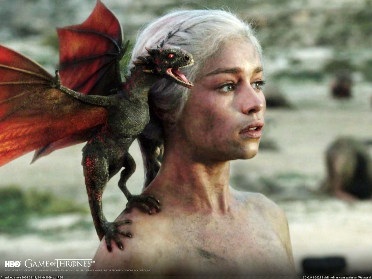 Wallpaper Daenerys Dragon 1600x1200 (in Game of Thrones 1600x1200 Wallpapers)