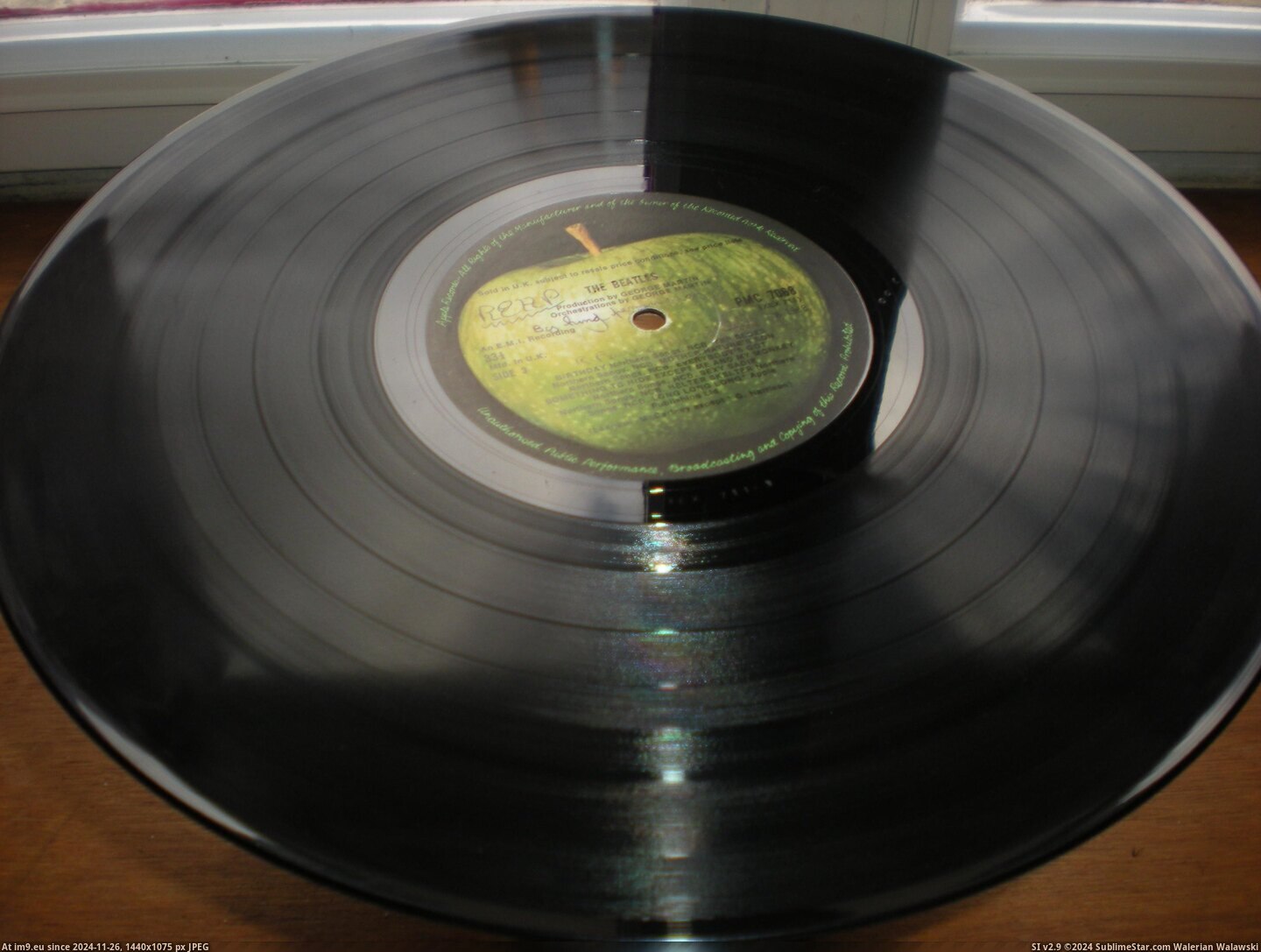  #White  White 0173834 9 Pic. (Obraz z album new 1))