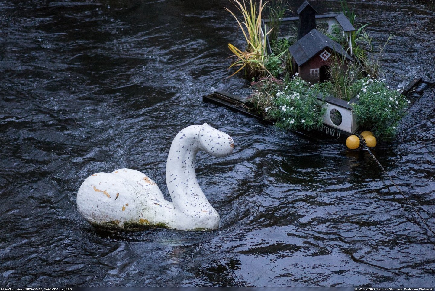#Wtf #House #Floating #Dickswan #Tiny #River [Wtf] Found this dickswan and tiny house floating in a river NSFW Pic. (Image of album My r/WTF favs))