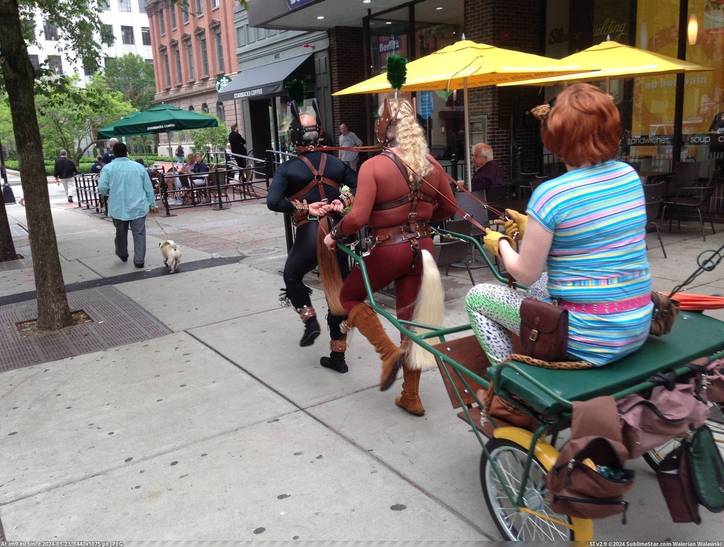 #Wtf #Guys #Walking #Boston #Day #Saw [Wtf] I was walking through Boston the other day when I saw these guys... 1 Pic. (Bild von album My r/WTF favs))