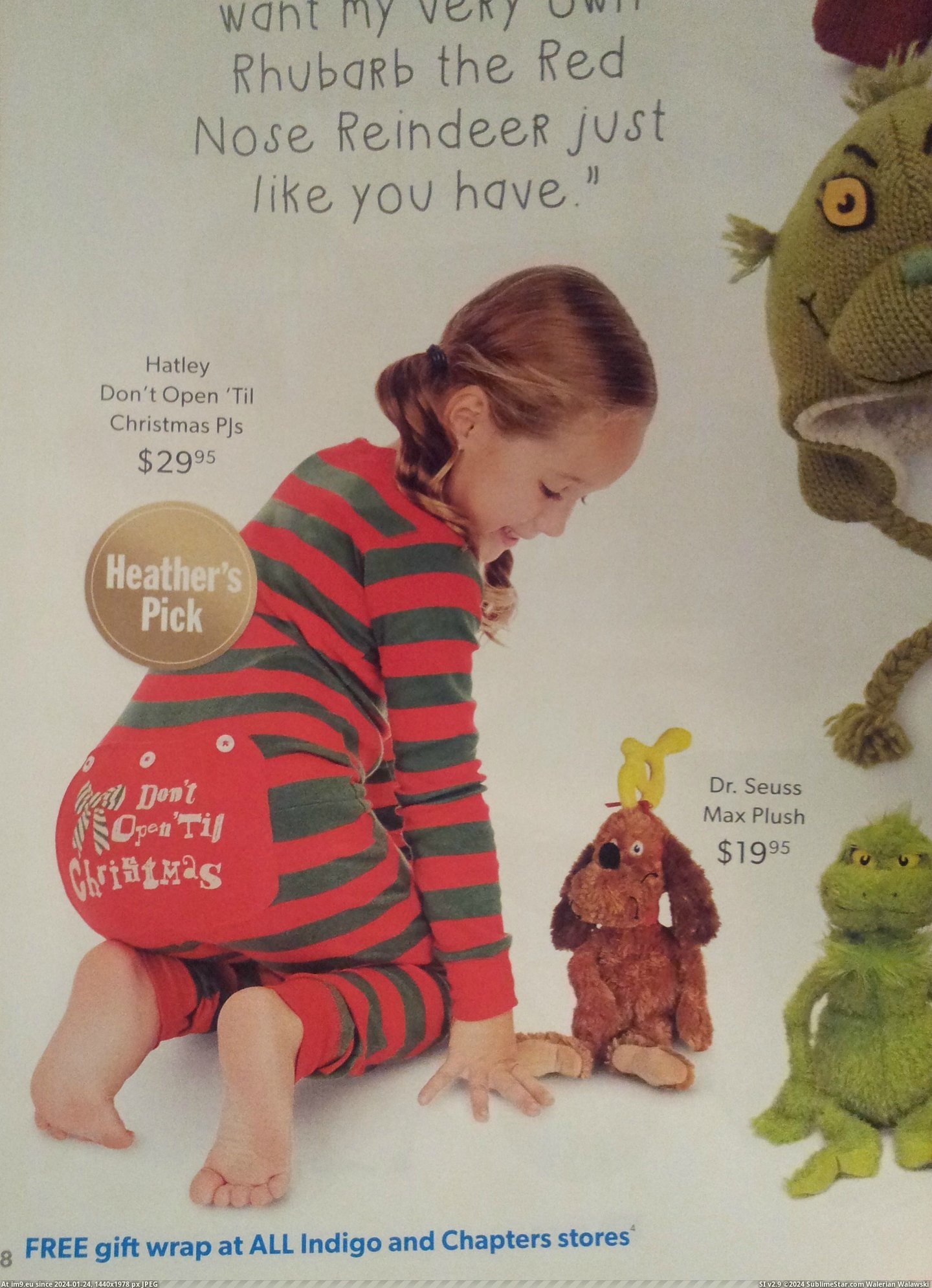 #Wtf #Christmas #Pedobear #Clothing #Approved [Wtf] Pedobear approved Christmas clothing Pic. (Obraz z album My r/WTF favs))