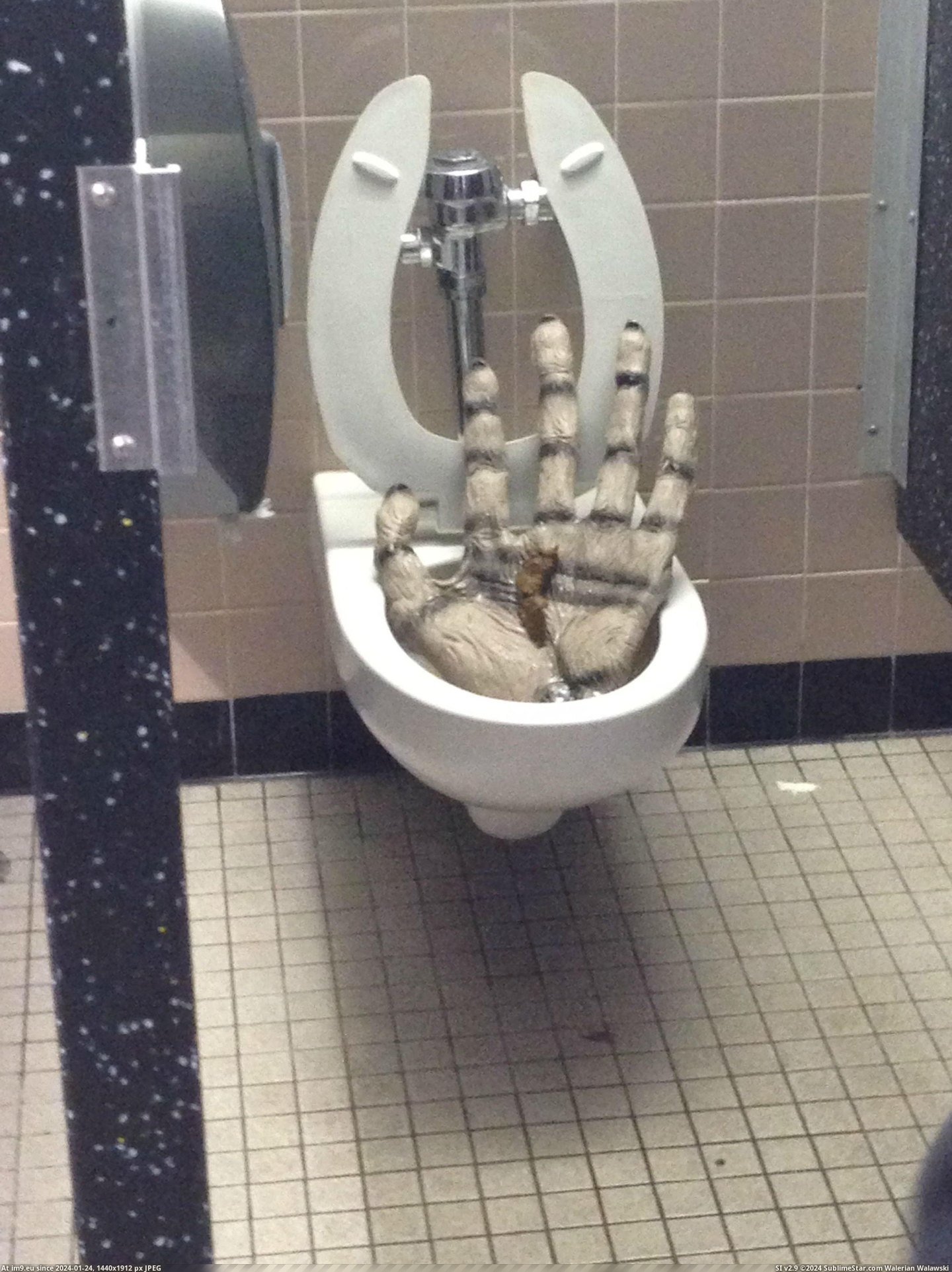 #Wtf #For #Decorated #Bathrooms #School #Halloween [Wtf] So my school decorated for Halloween, even in the bathrooms Pic. (Image of album My r/WTF favs))