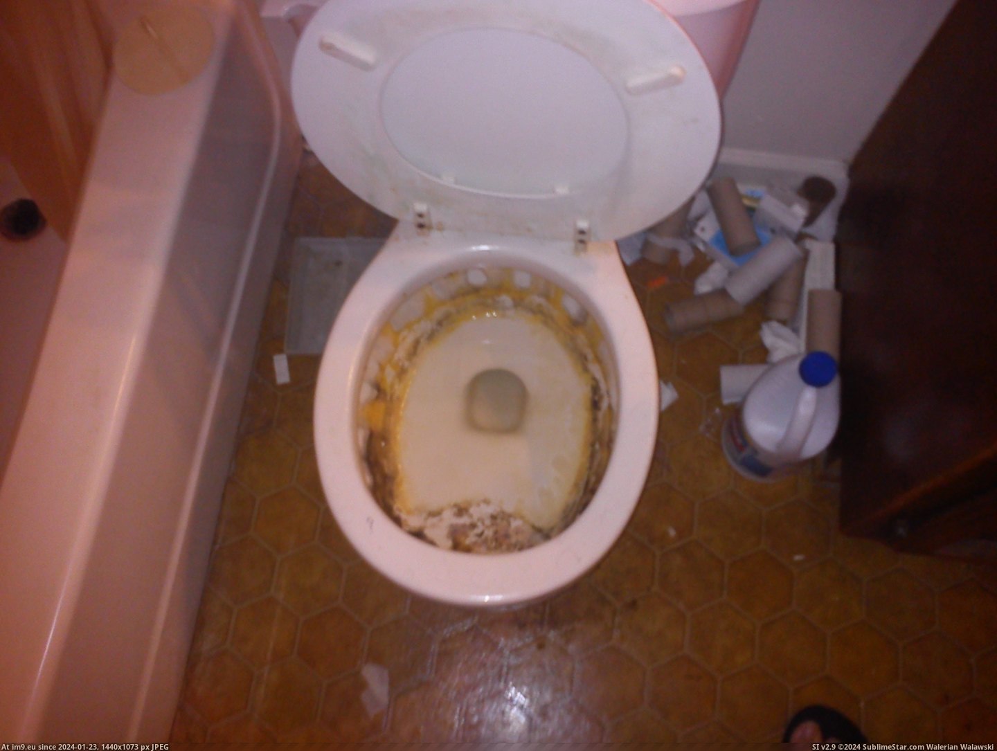 #Wtf #Summer #Roommate #Lives #Asked #Clean [Wtf] This is how my roommate lives. We've asked him to clean it since last summer, and he doesn't want to do it without help. H Pic. (Obraz z album My r/WTF favs))