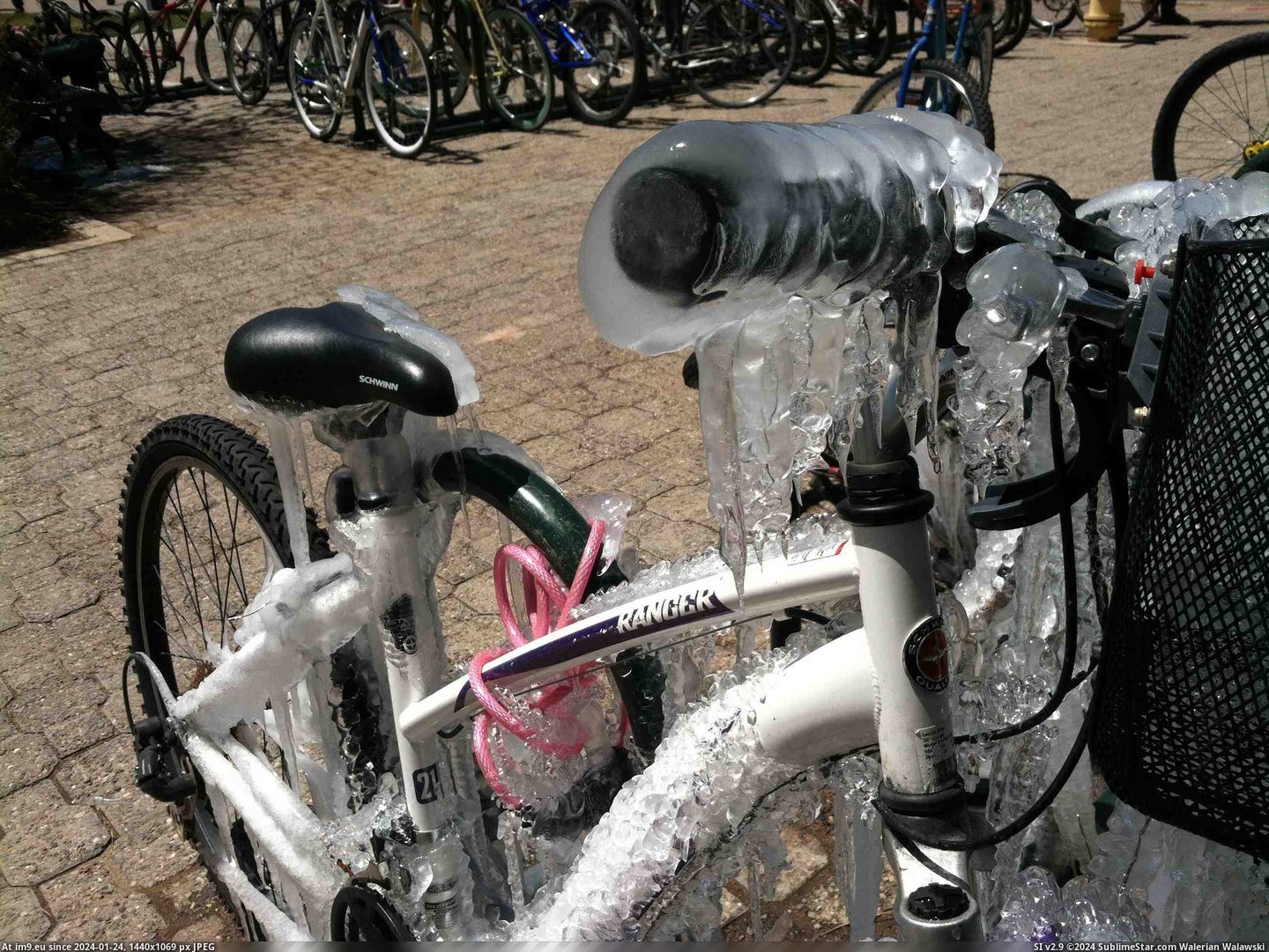 #Wtf #Bike #Temperatures #Sprinklers #Rack #Freezing [Wtf] When sprinklers come on next to the bike rack in freezing temperatures... Pic. (Изображение из альбом My r/WTF favs))