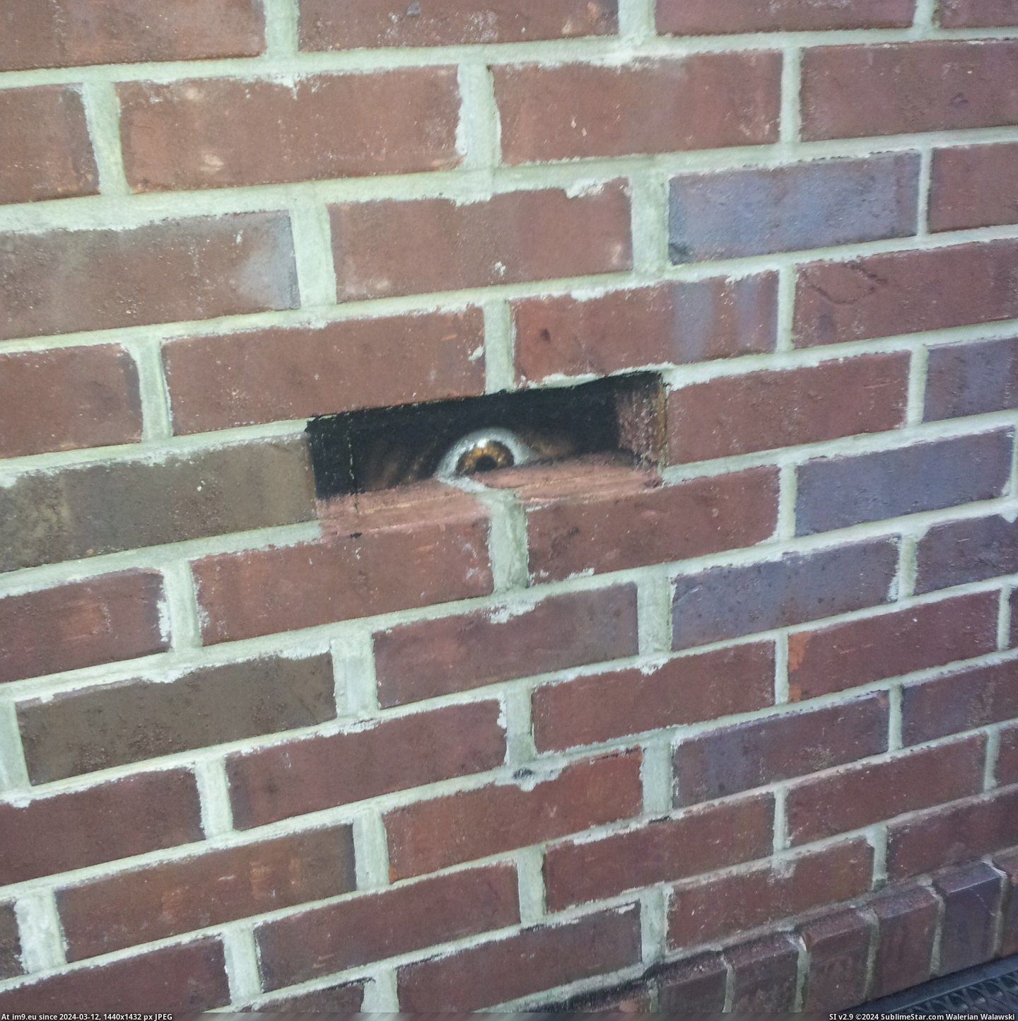 #Wtf #You #Brick #See #Painted [Wtf] When You See It (painted brick) Pic. (Obraz z album My r/WTF favs))