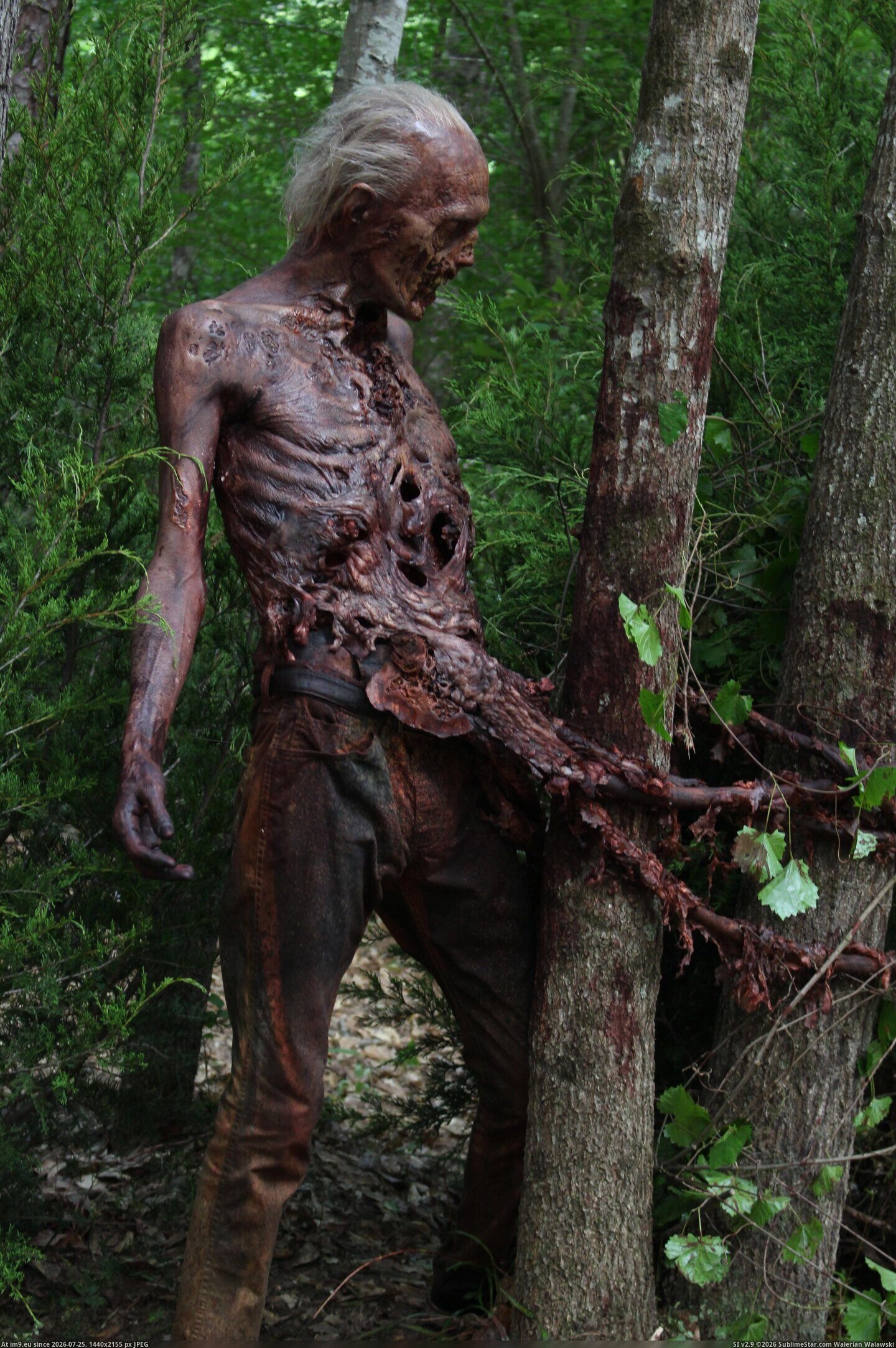 in Instant Upload zombie3 Pic. (Imagen de album Instant Upload))